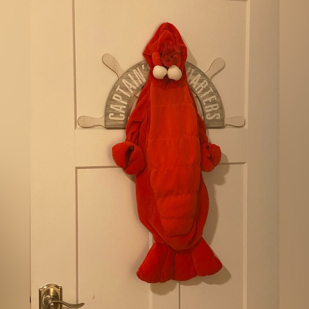Lobster Halloween Costume EUC 0-9 Months